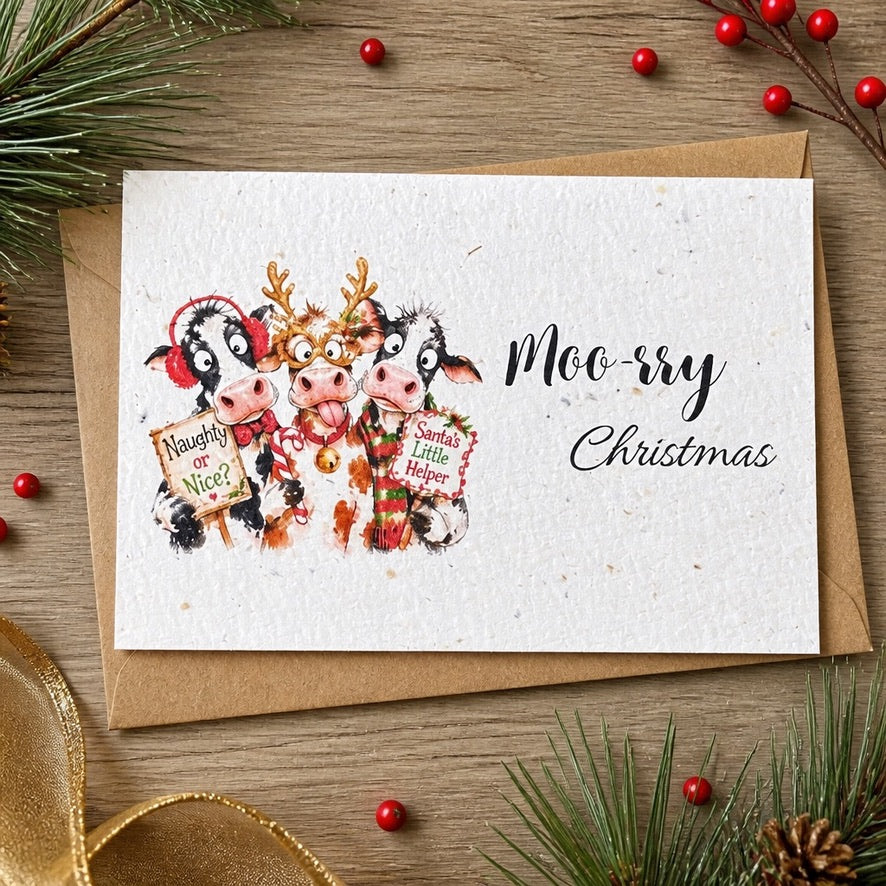 Seeded Christmas Cards