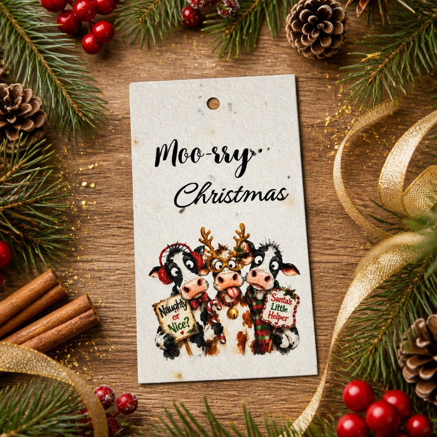 Seeded Gift Tags